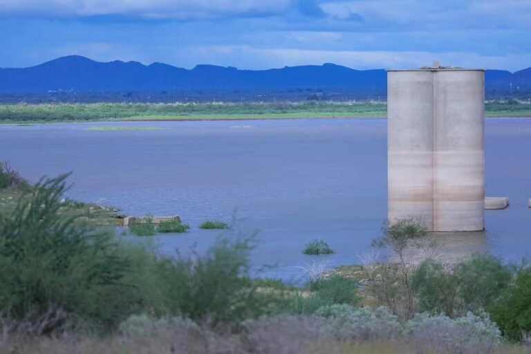 WhatsApp Image 2025 10 13 at 23.31.35