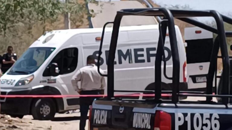 WhatsApp Image 2025 10 14 at 22.07.49 1