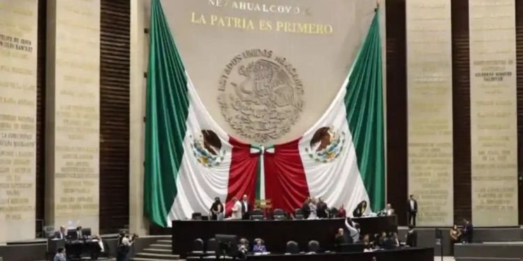 WhatsApp Image 2025 10 16 at 06.30.26