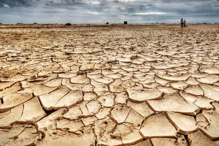 WhatsApp Image 2025 10 20 at 22.09.02