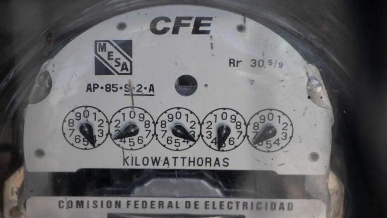 WhatsApp Image 2025 11 01 at 12.34.43