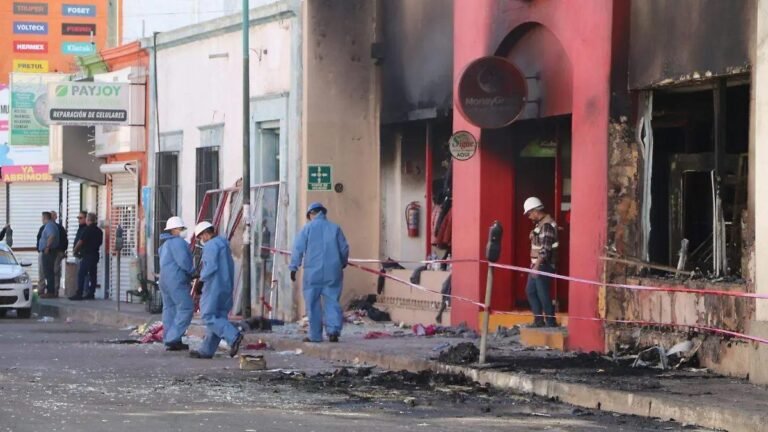 WhatsApp Image 2025 11 03 at 21.49.30