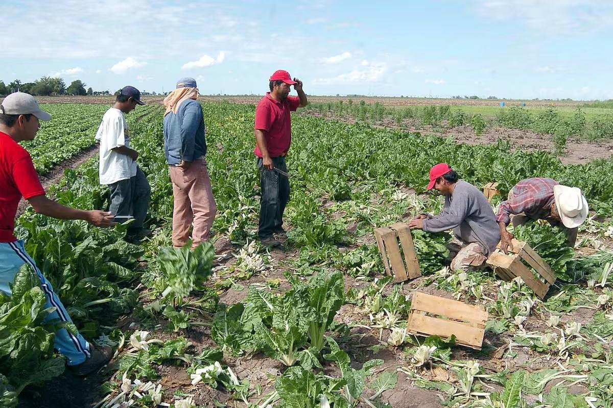 WhatsApp Image 2025 12 07 at 20.24.07