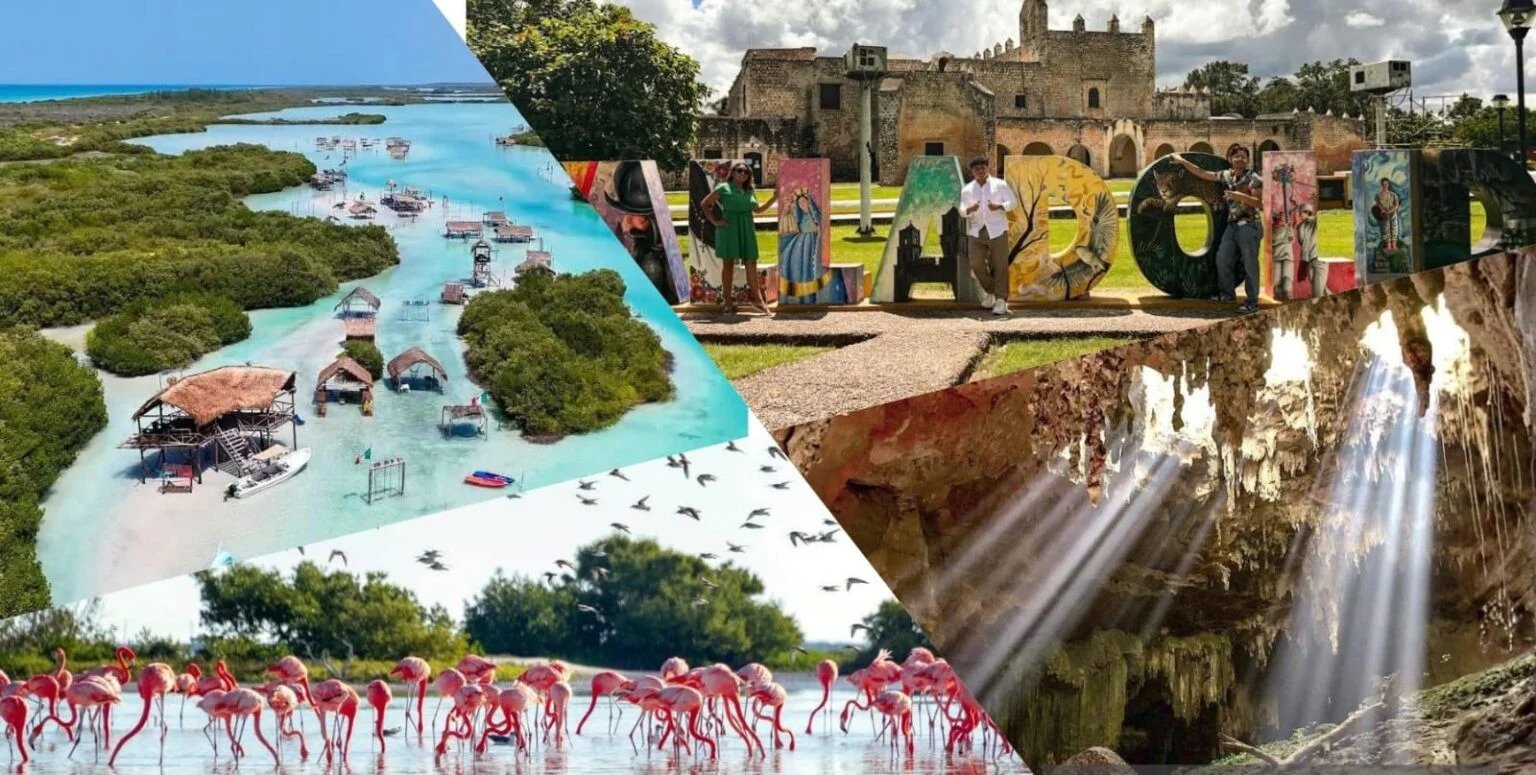 WhatsApp Image 2025 12 12 at 3.50.48 PM 1 1536x775 1