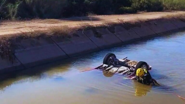 WhatsApp Image 2026 01 01 at 22.20.09