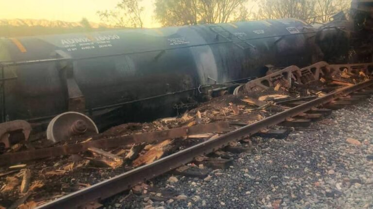 WhatsApp Image 2026 01 04 at 22.31.46