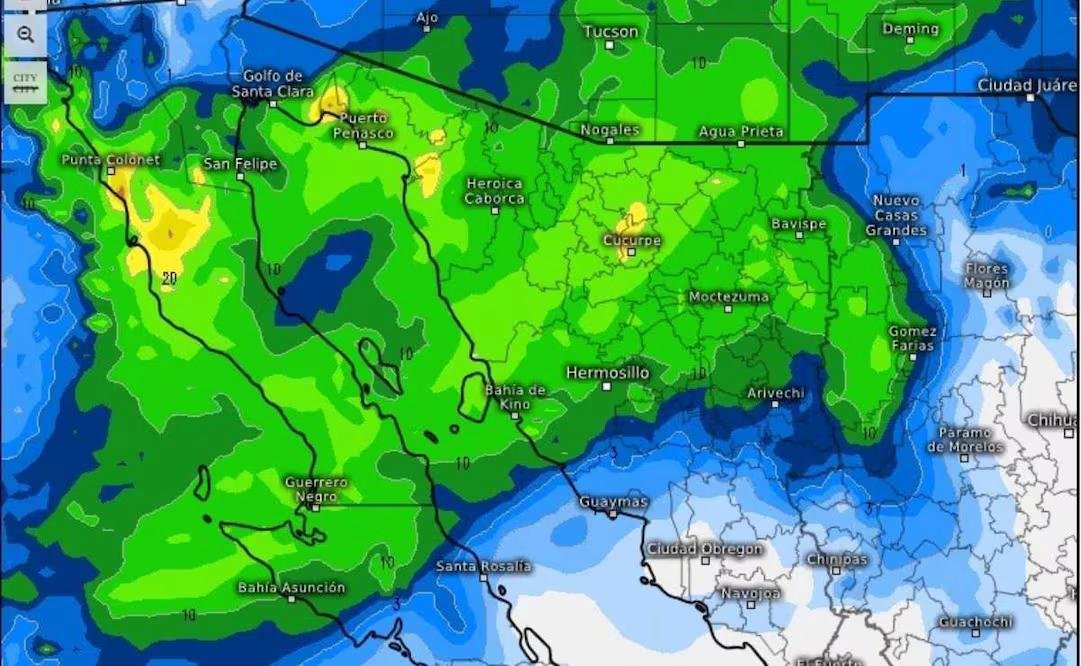 WhatsApp Image 2026 01 05 at 22.20.45