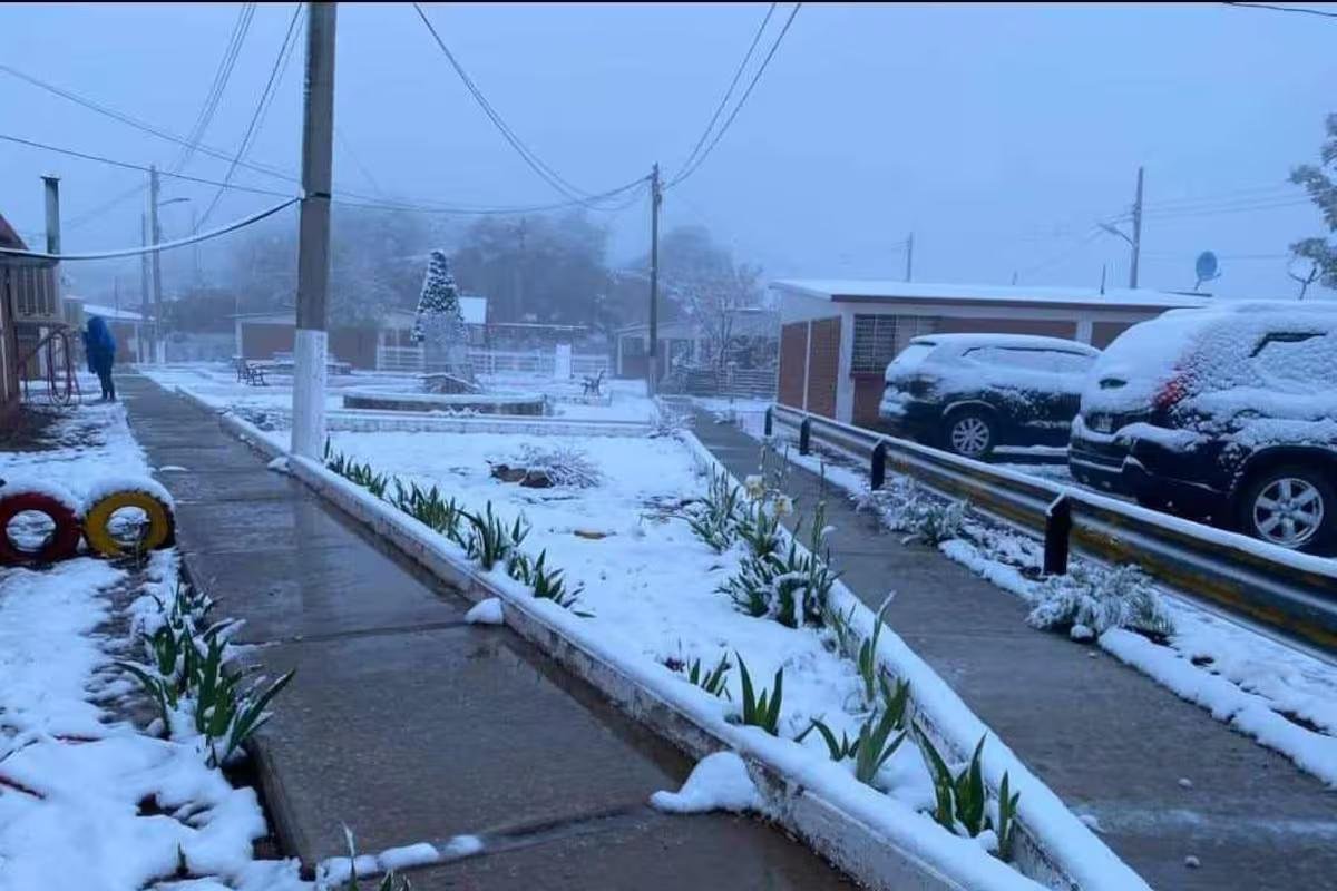 WhatsApp Image 2026 01 07 at 21.14.58