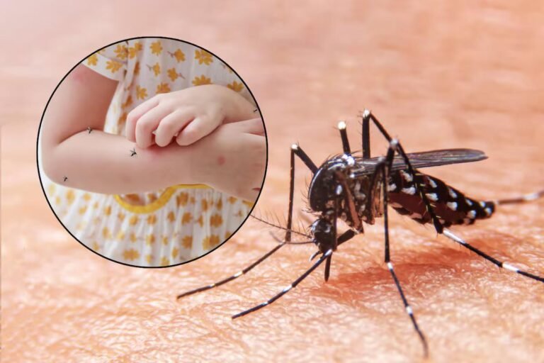 WhatsApp Image 2026 01 07 at 21.15.06