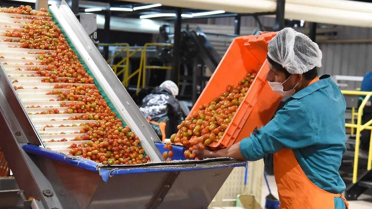 WhatsApp Image 2026 01 15 at 21.28.41