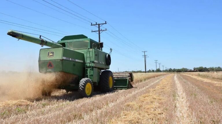 WhatsApp Image 2026 01 19 at 21.23.28