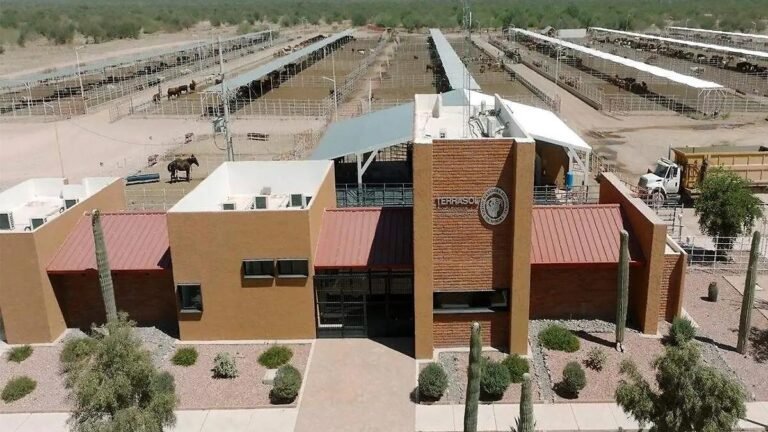 WhatsApp Image 2026 01 26 at 20.42.15