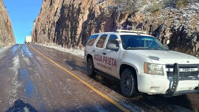 WhatsApp Image 2026 01 27 at 21.06.31