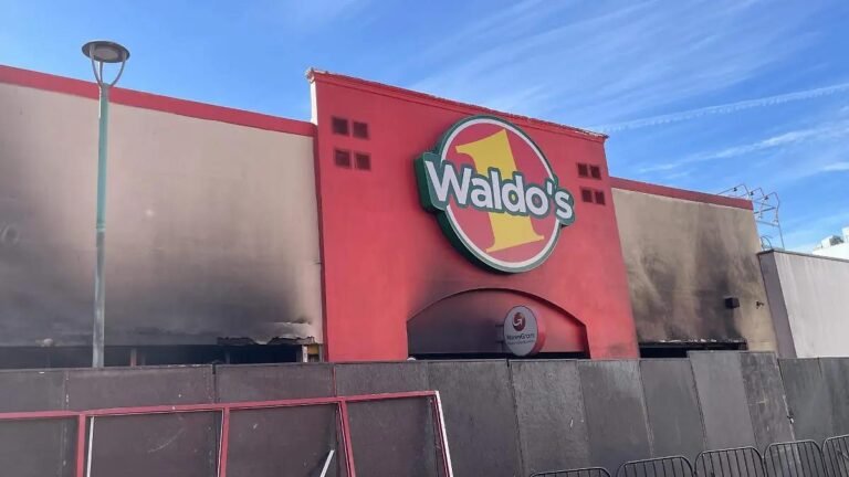 WhatsApp Image 2026 01 27 at 21.06.39