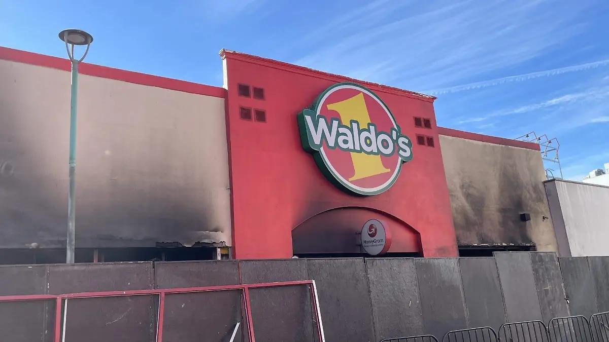 WhatsApp Image 2026 01 27 at 21.06.39