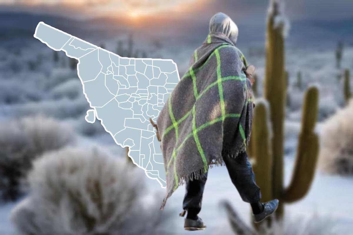 WhatsApp Image 2026 02 02 at 21.23.41