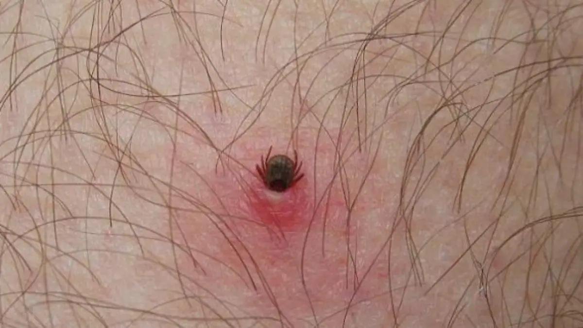 WhatsApp Image 2026 02 09 at 00.12.39