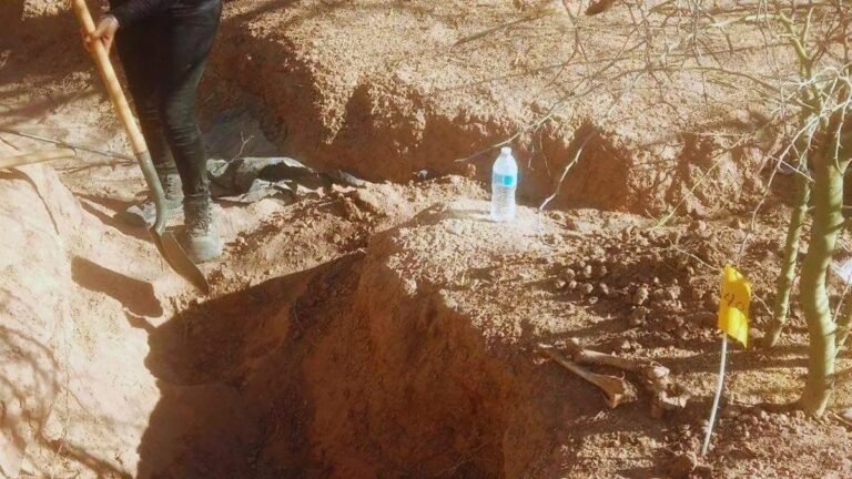 WhatsApp Image 2026 02 09 at 22.44.51