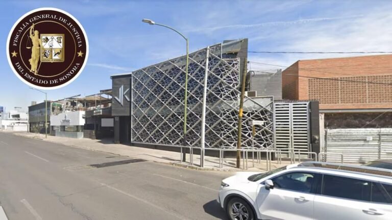 WhatsApp Image 2026 02 10 at 22.30.38