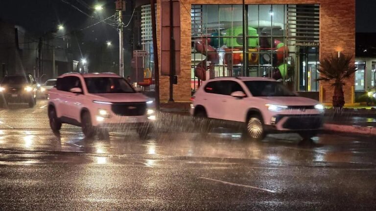 WhatsApp Image 2026 02 10 at 22.30.44