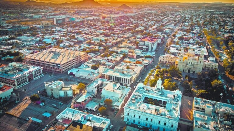 WhatsApp Image 2026 02 10 at 22.30.49