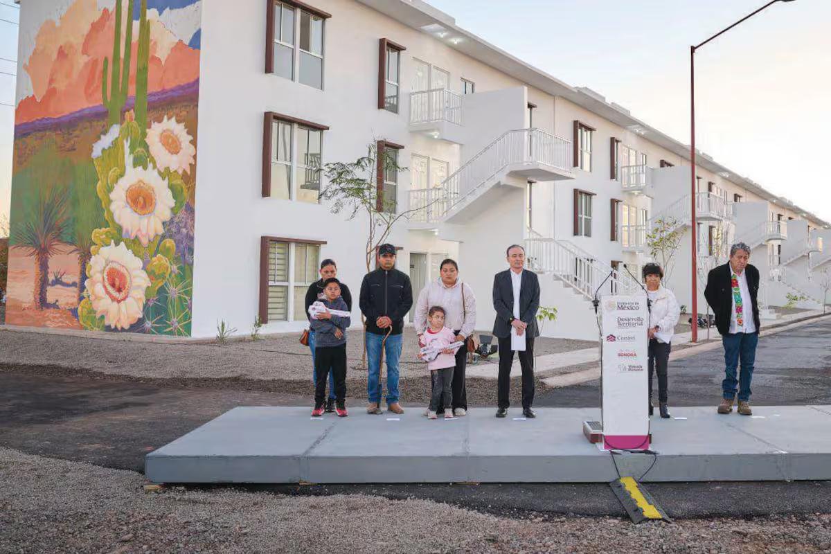 WhatsApp Image 2026 02 12 at 20.44.20