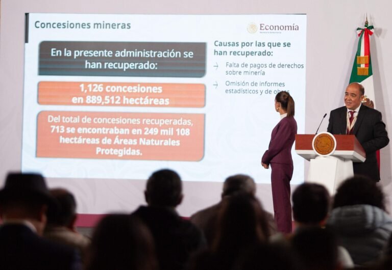 WhatsApp Image 2026 02 12 at 20.46.18 scaled