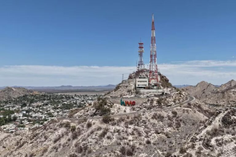 WhatsApp Image 2026 02 15 at 21.46.13