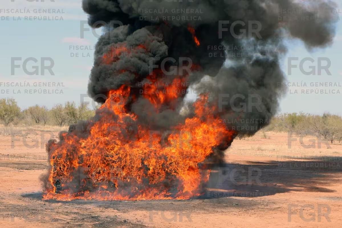 WhatsApp Image 2026 02 19 at 20.24.41