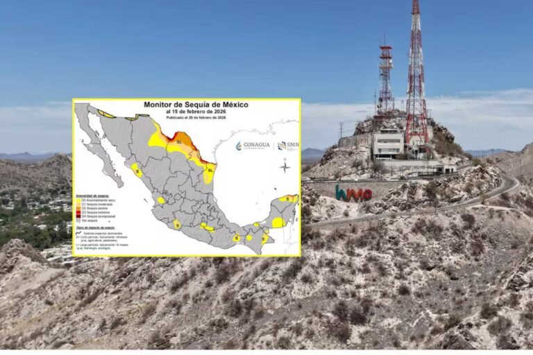 WhatsApp Image 2026 02 24 at 21.07.52