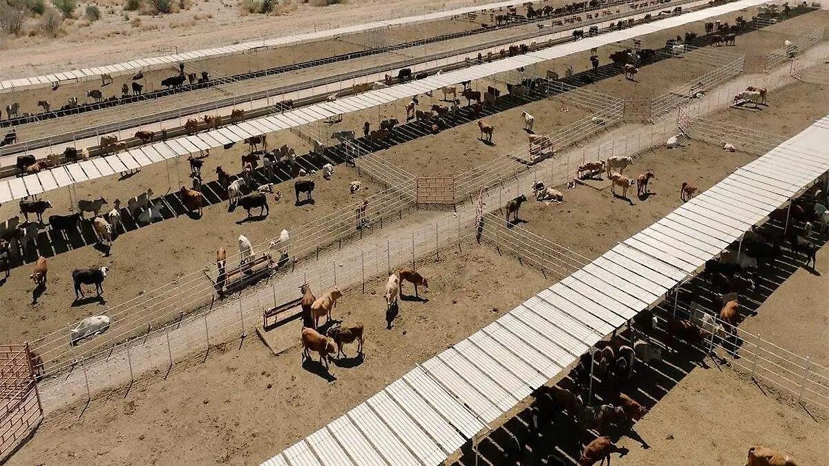 WhatsApp Image 2026 02 25 at 21.27.46