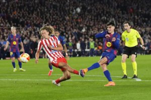 749a0945 3e1d 4154 8b94 131cb9cd2c6b alta libre aspect ratio default 0 x1000y443