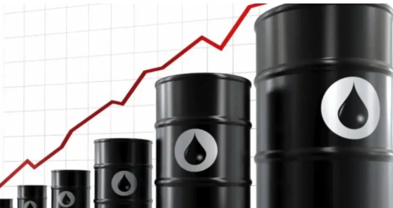 Captura de pantalla 2026 03 13 074407