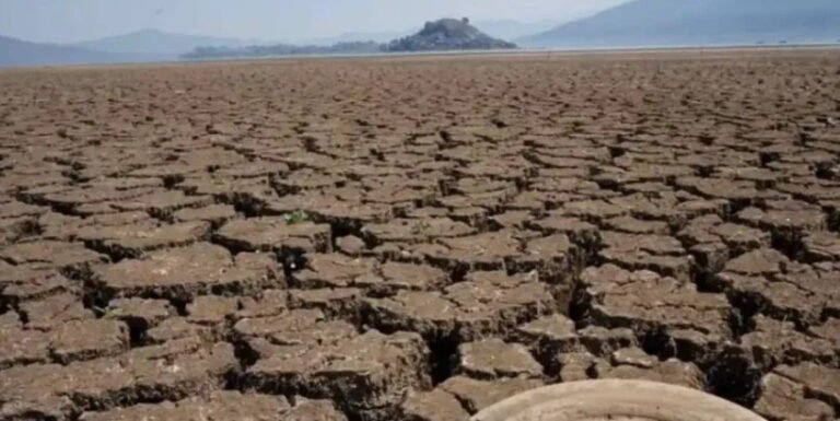 Captura de pantalla 2026 03 23 080347