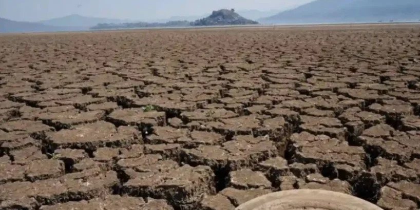 Captura de pantalla 2026 03 23 080347