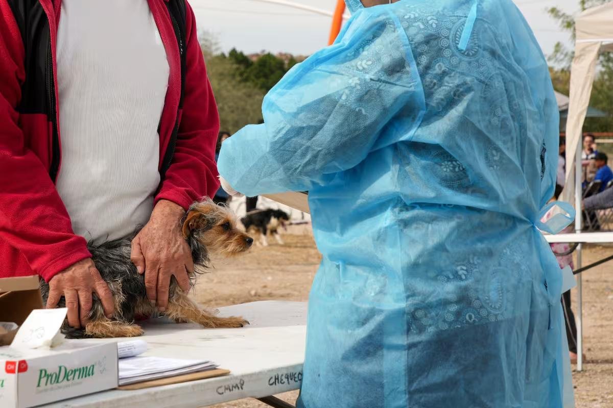 WhatsApp Image 2026 03 01 at 21.00.08