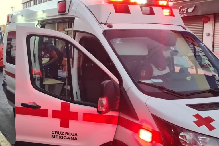 WhatsApp Image 2026 03 10 at 21.03.17