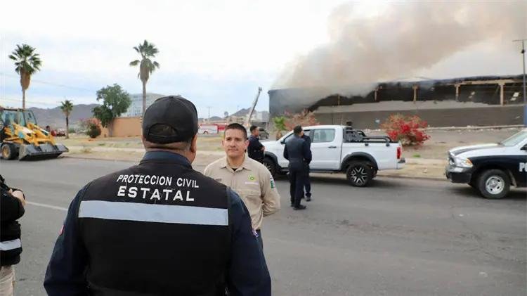 WhatsApp Image 2026 03 19 at 20.51.16