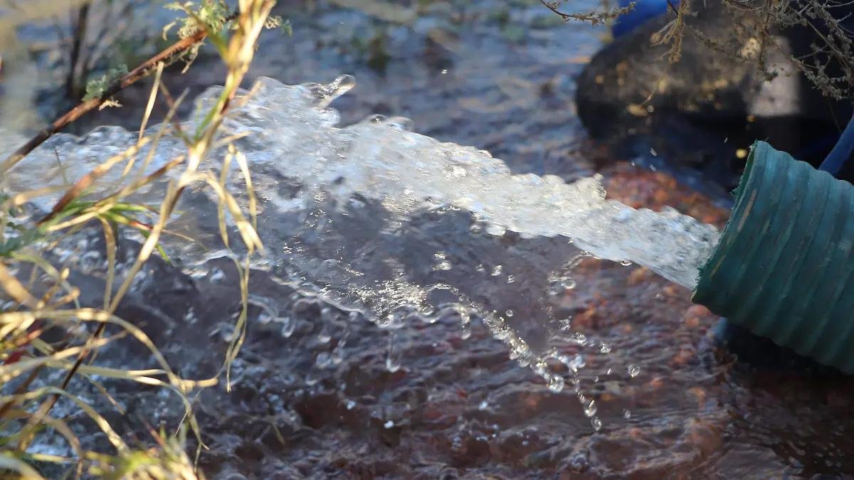 WhatsApp Image 2026 03 19 at 20.51.23