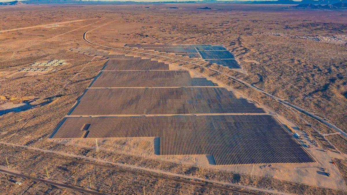 WhatsApp Image 2026 03 19 at 20.51.29