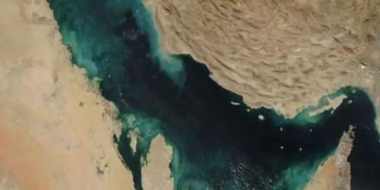 WhatsApp Image 2026 03 24 at 06.29.12