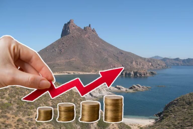 WhatsApp Image 2026 03 25 at 21.54.02