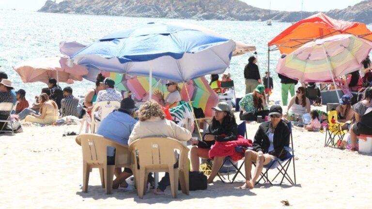 WhatsApp Image 2026 03 31 at 21.46.41