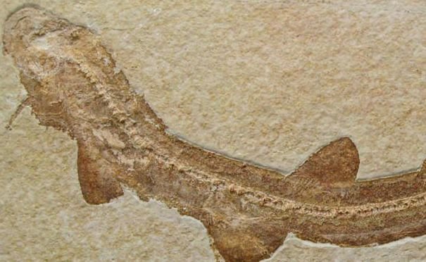 e801351d 7f88 4ebb ac6b 2116b9c8aebb