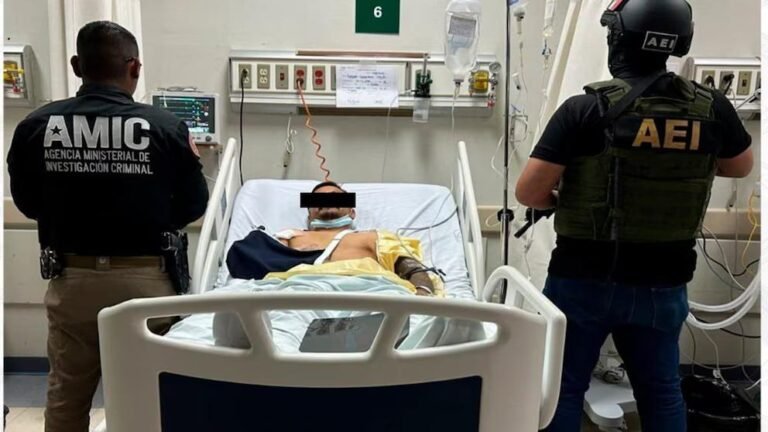 WhatsApp Image 2026 04 12 at 22.55.58