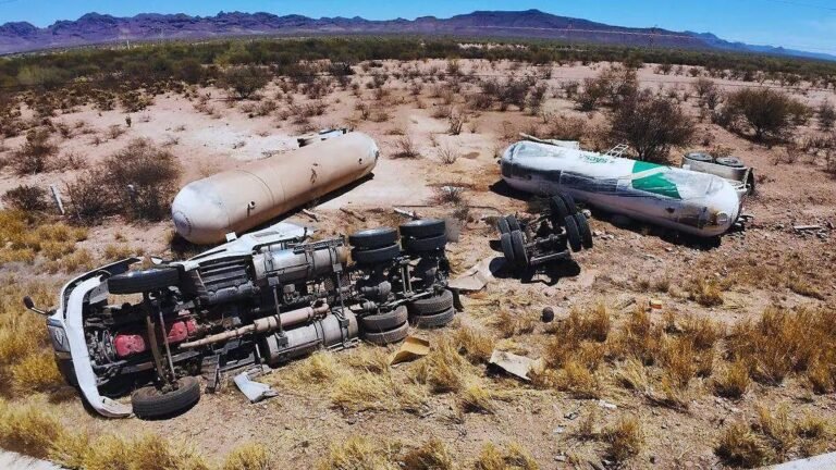 WhatsApp Image 2026 04 19 at 20.36.16