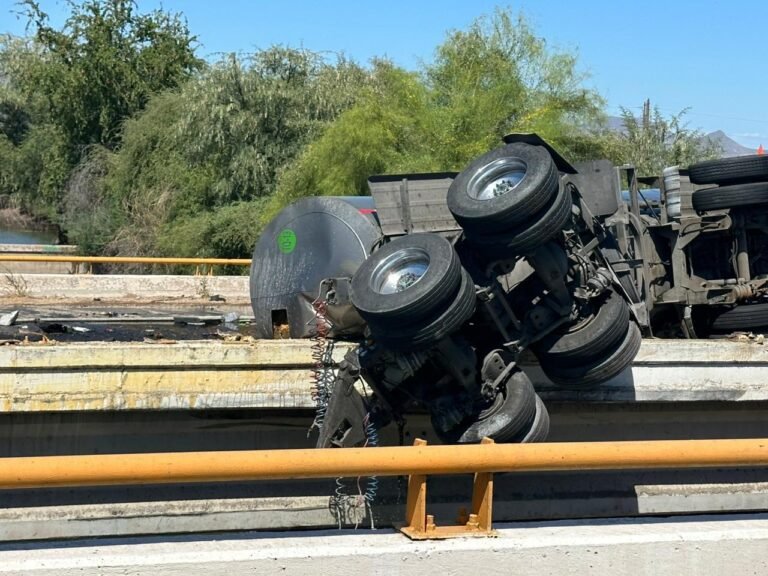 WhatsApp Image 2026 04 20 at 22.06.28