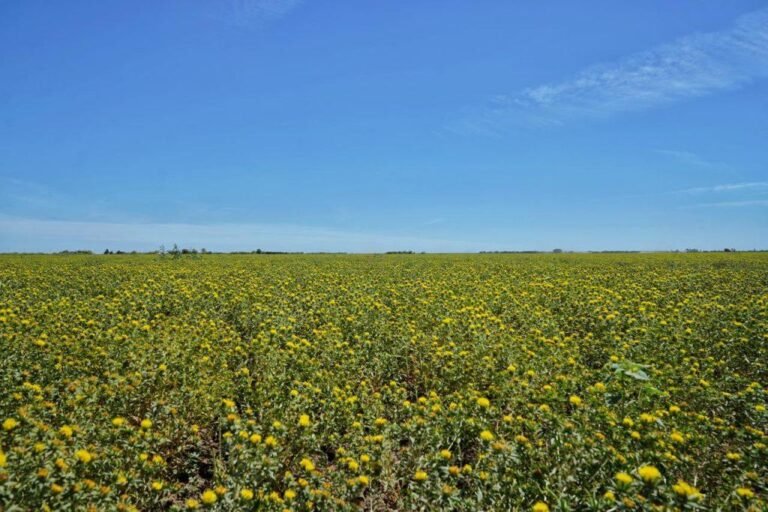 WhatsApp Image 2026 04 26 at 22.39.30