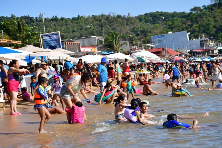 1 registro vaca 1