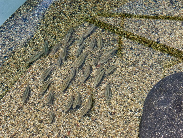1 1